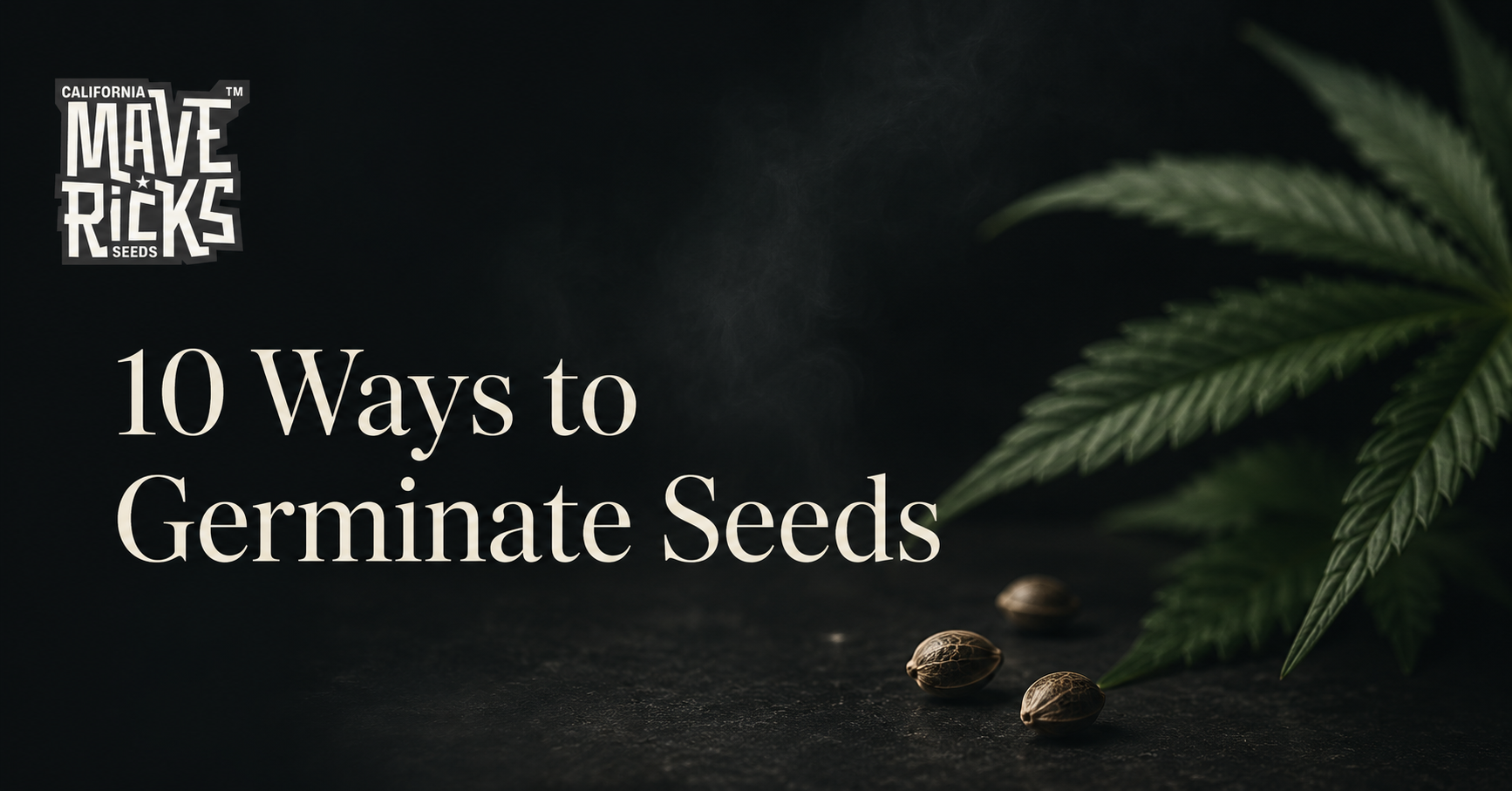10 ways to germinate cannabis seeds: a comprehensive guide