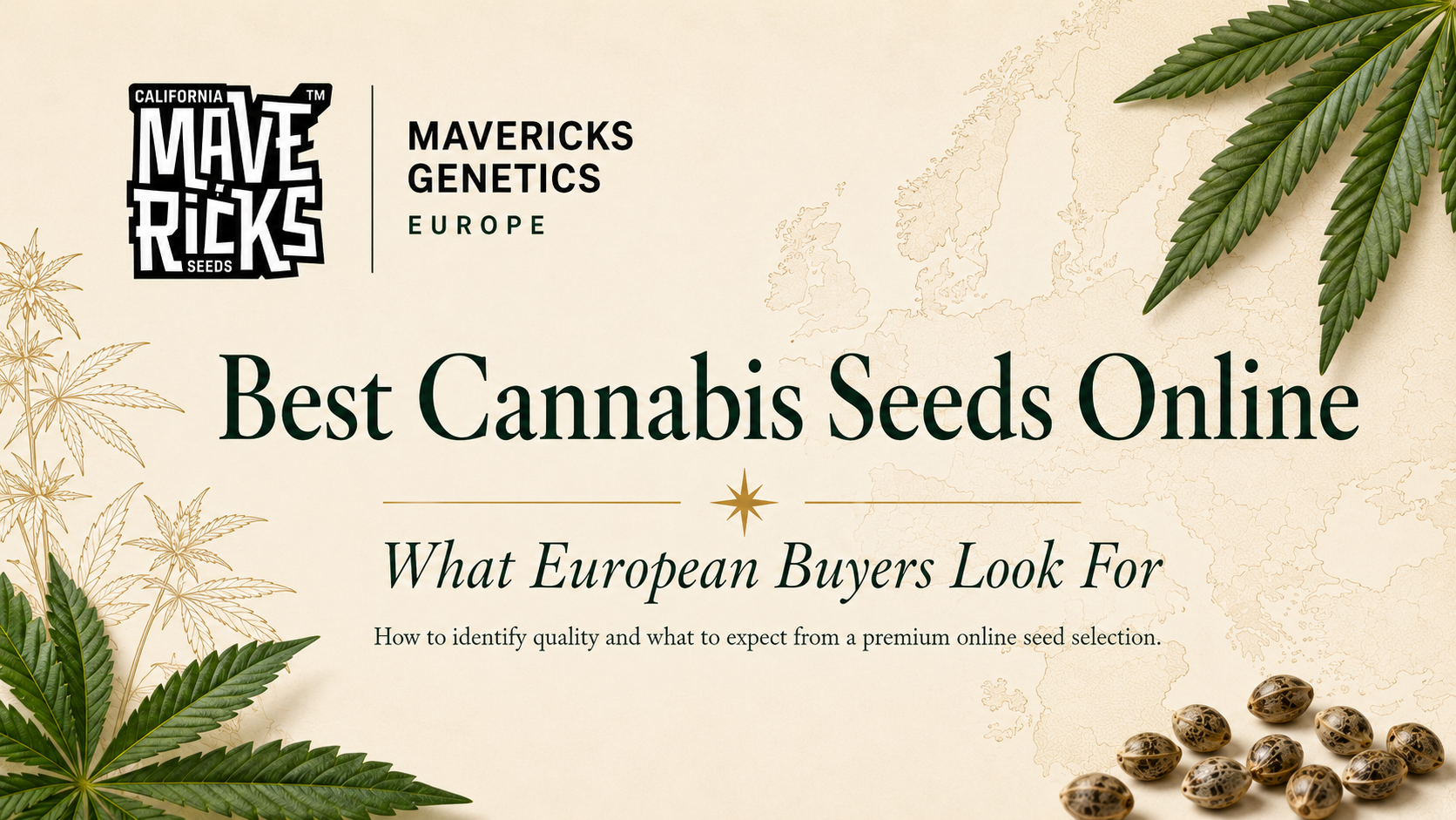 Best Cannabis Seeds Online: What European Buyers Look For