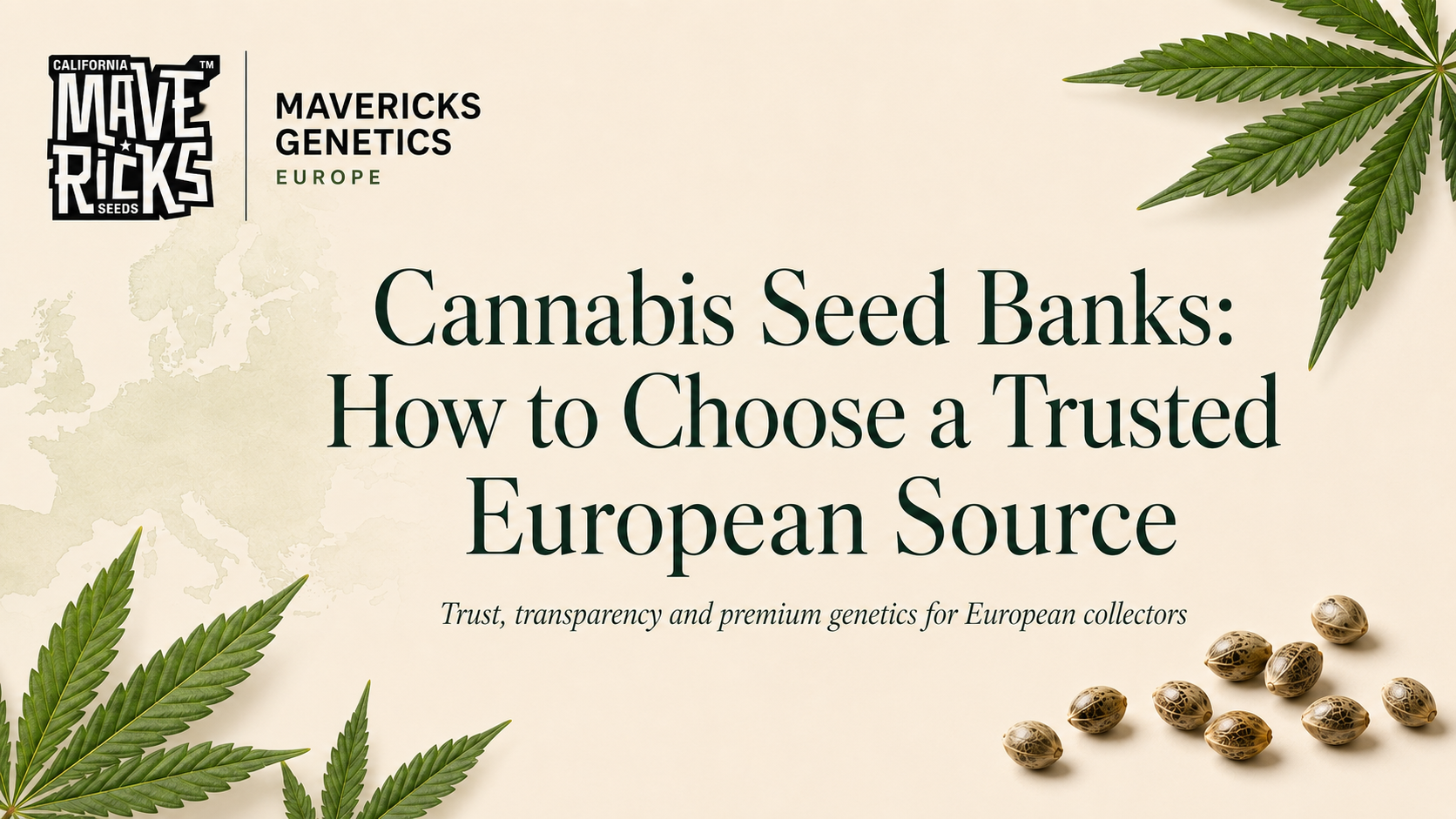 Cannabis Seed Banks: How to Choose a Trusted European Source