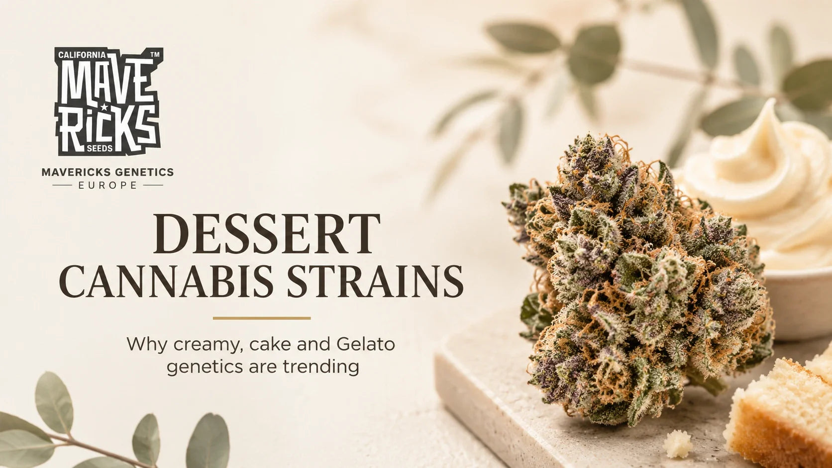 Dessert Cannabis Strains: Why Creamy, Cake and Gelato Genetics Are Trending