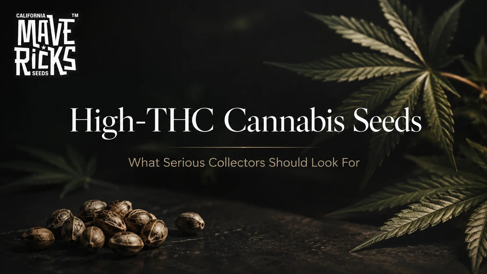 High-THC Cannabis Seeds: What Serious Collectors Should Look For