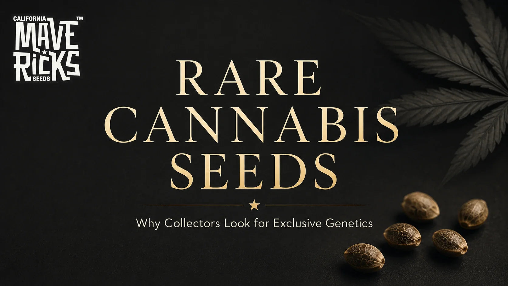 Rare Cannabis Seeds: Why Collectors Look for Exclusive Genetics