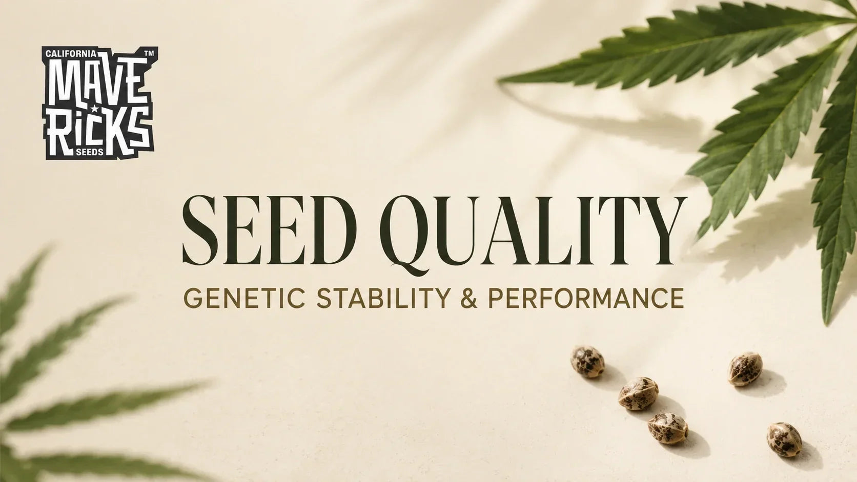 Seeds Quality Affects Genetic Stability and Performance