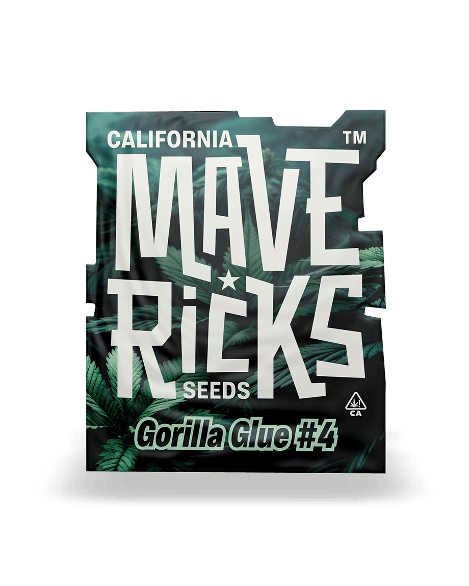 Colle Gorilla