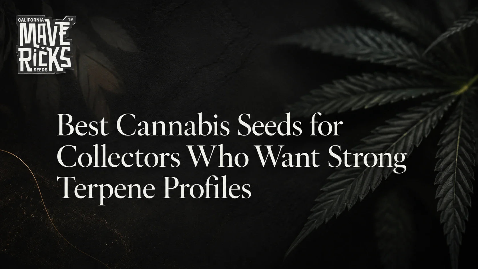 Best Cannabis Seeds for Collectors Who Want Strong Terpene Profiles