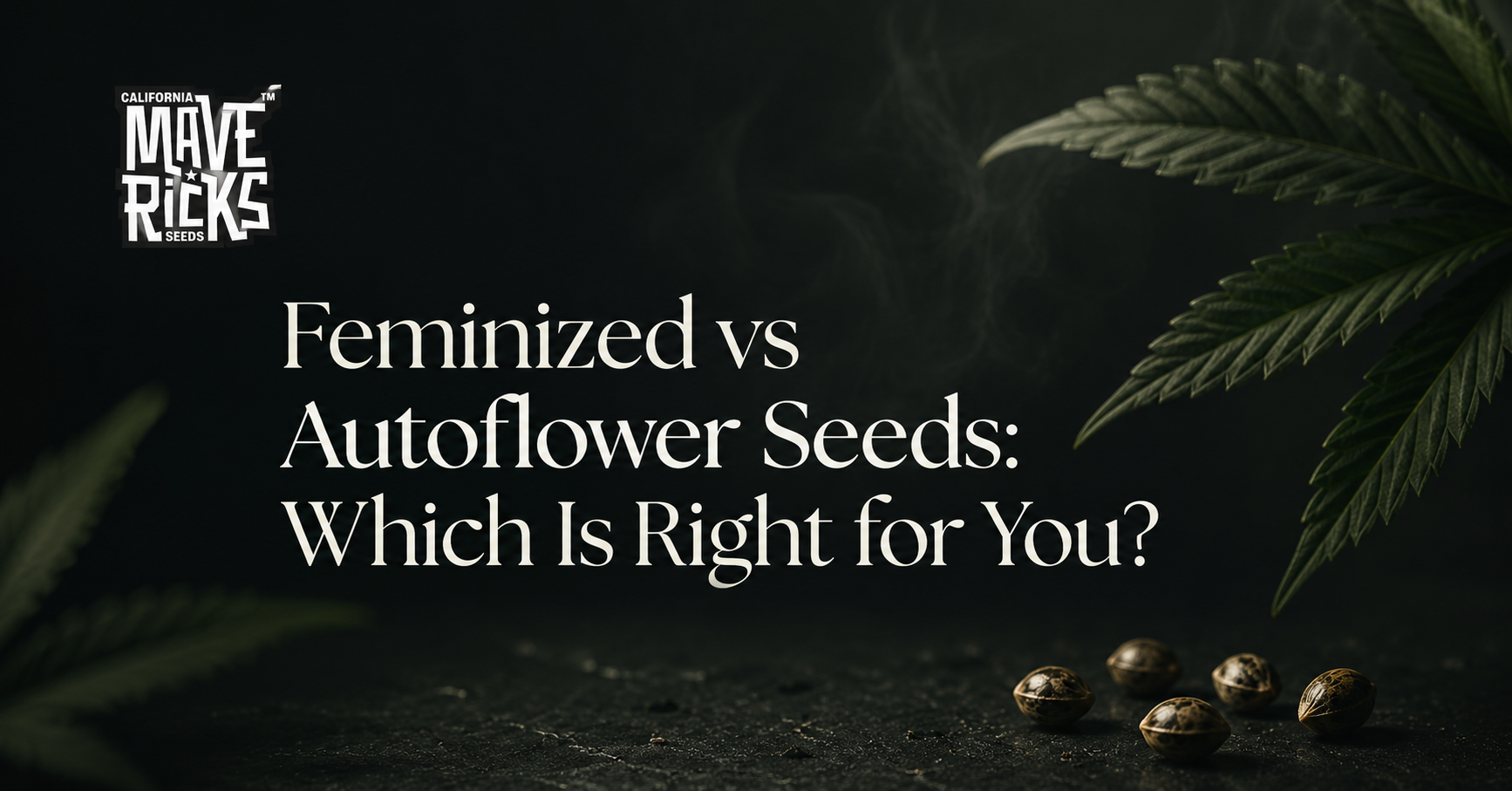 Feminized vs Autoflower Seeds: Which One Should You Choose?