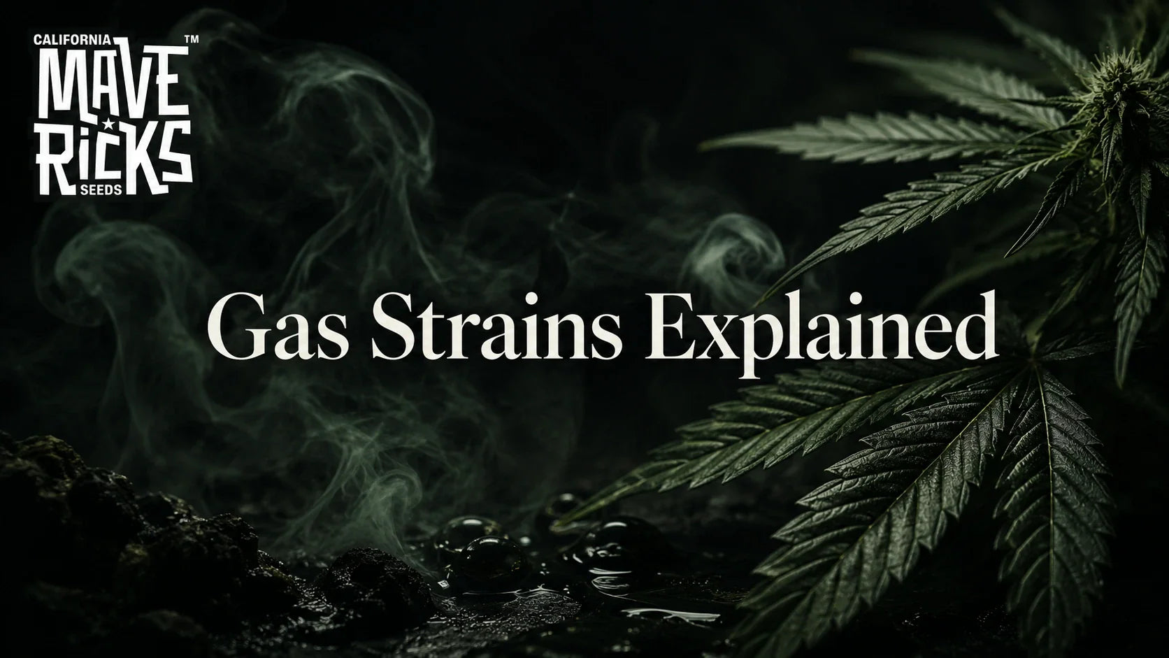 Gas Strains Explained: Why Fuel, Diesel and OG Genetics Are So Popular