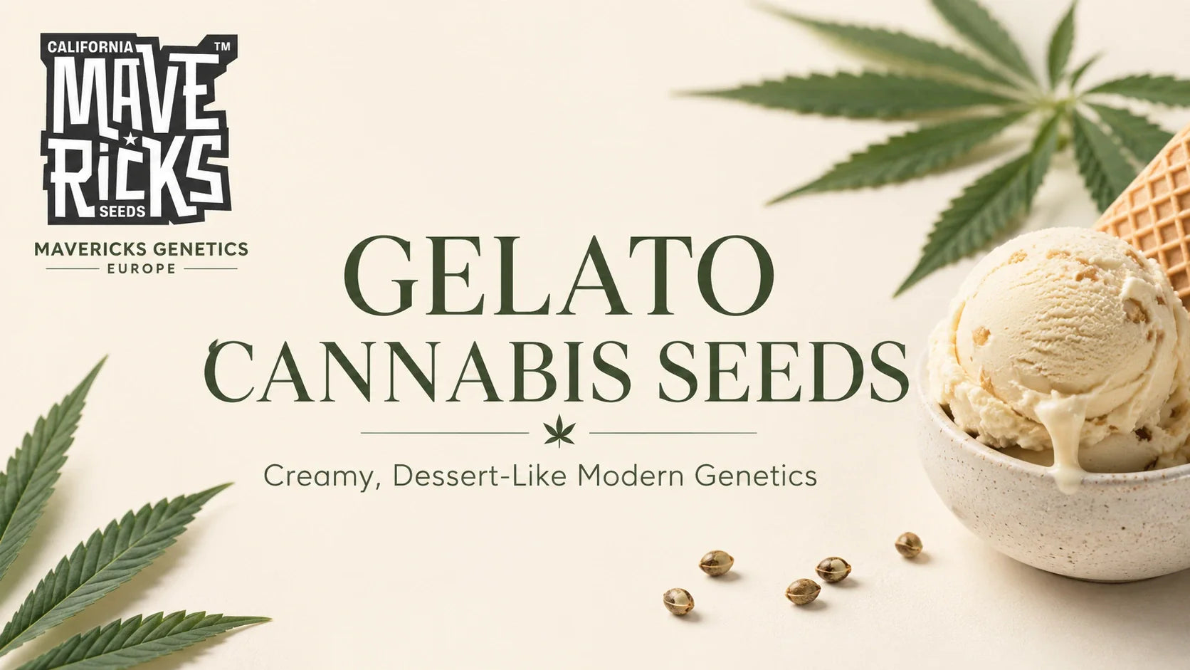 Gelato Cannabis Seeds: The Rise of Creamy, Dessert-Like Modern Genetics