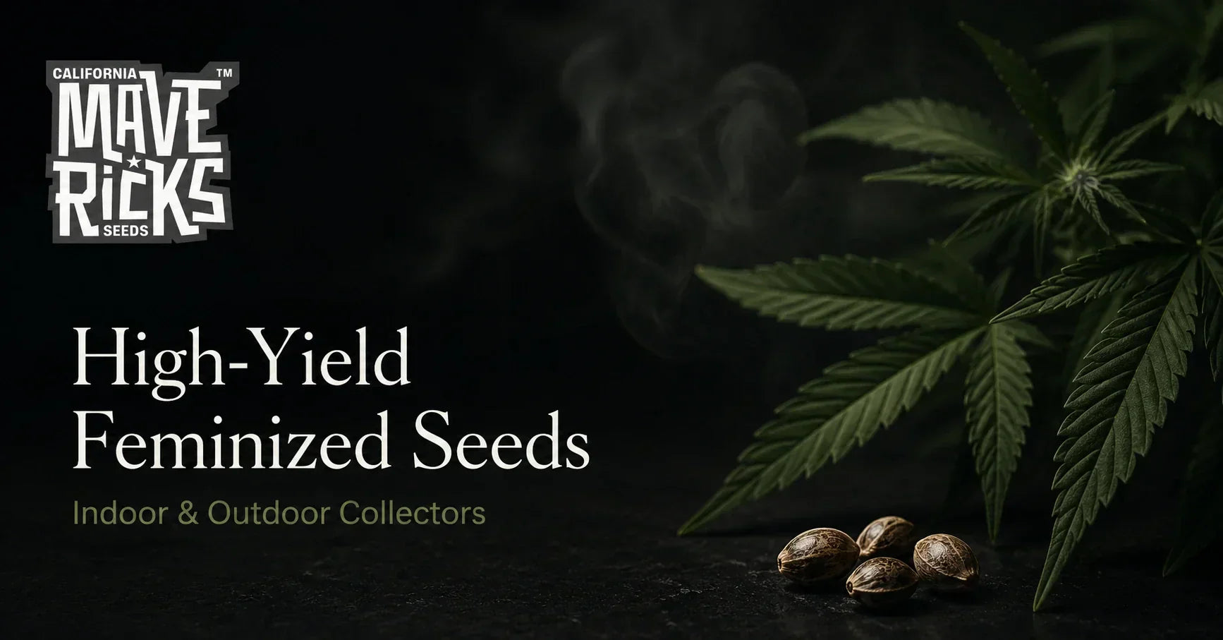 Best High-Yield Feminized Seeds for Indoor and Outdoor Collectors