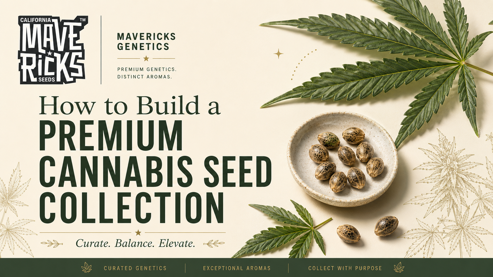 How to Build a Premium Cannabis Seed Collection