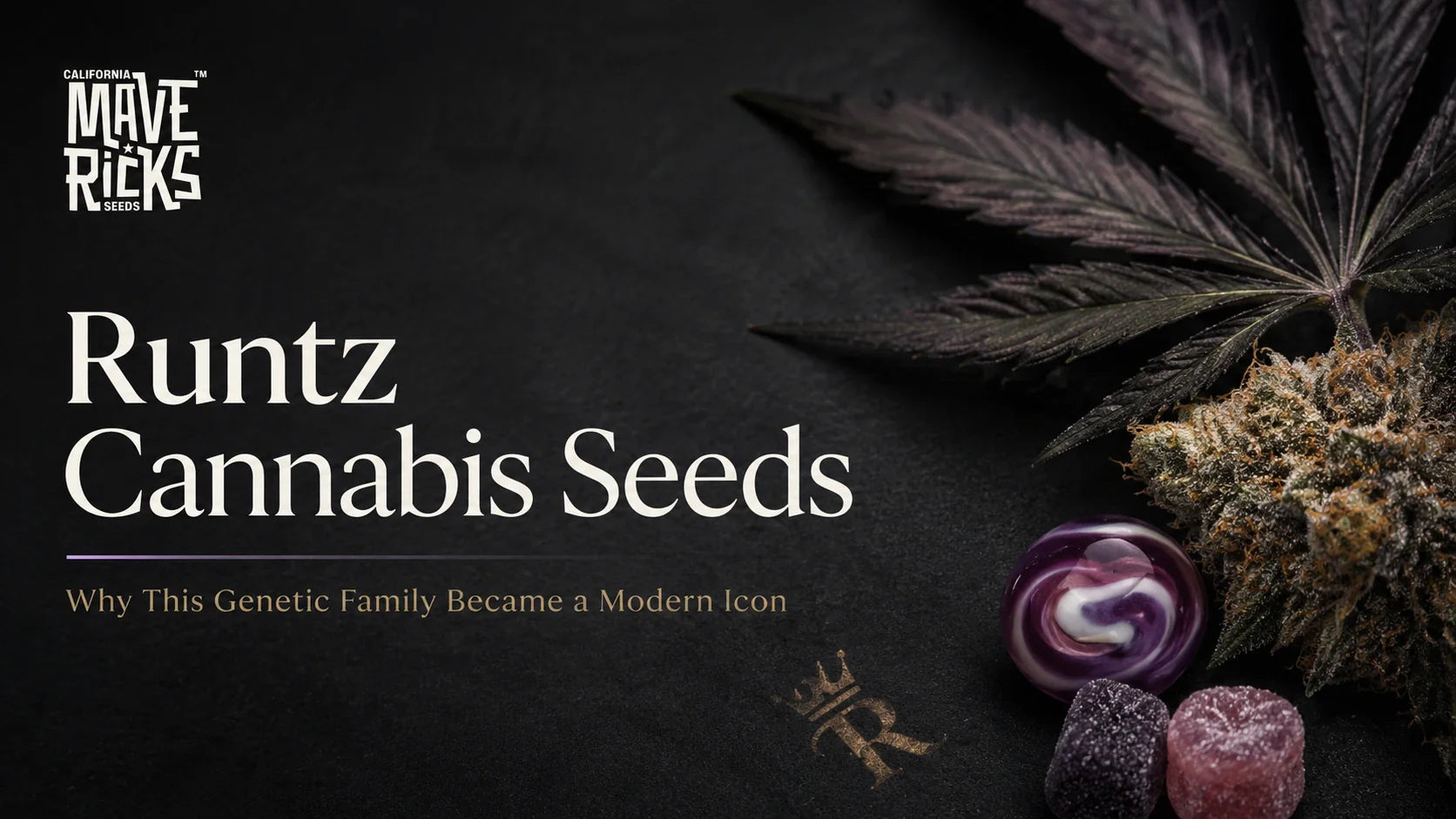 Runtz Cannabis Seeds: Why This Genetic Family Became a Modern Icon
