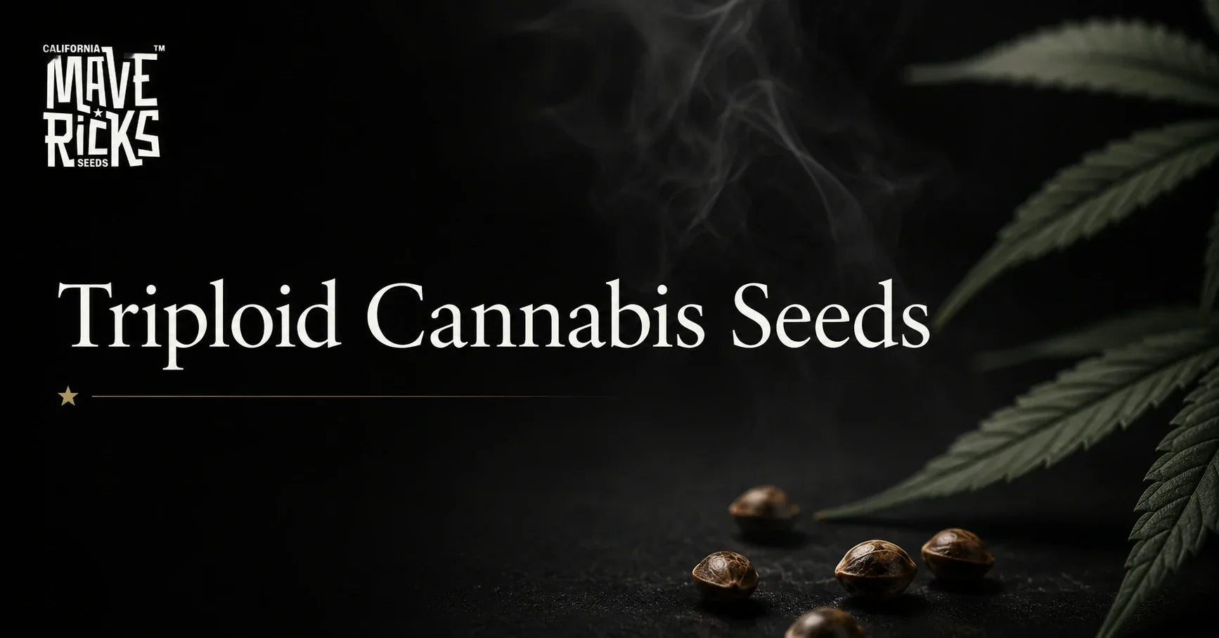 What Are Triploid Cannabis Seeds? The Next Step in Modern Genetics