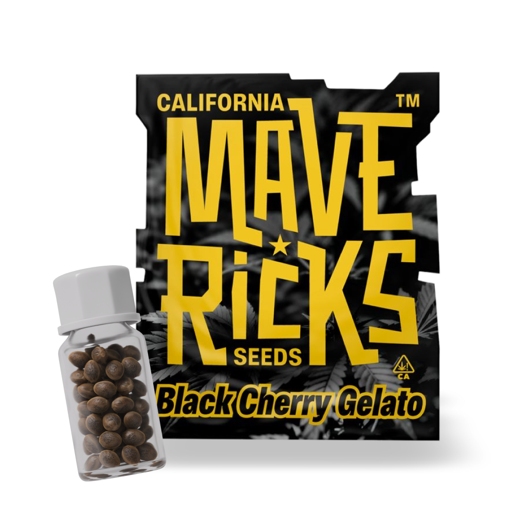 Triploid Black Cherry Gelato