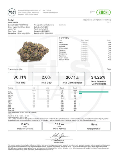 Triploid Black Cherry Gelato
