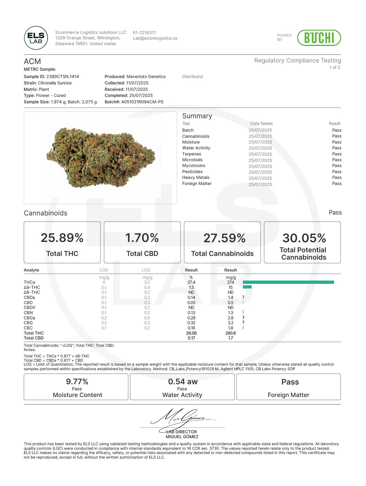 Citronella Sunrize – Mavericks Genetics