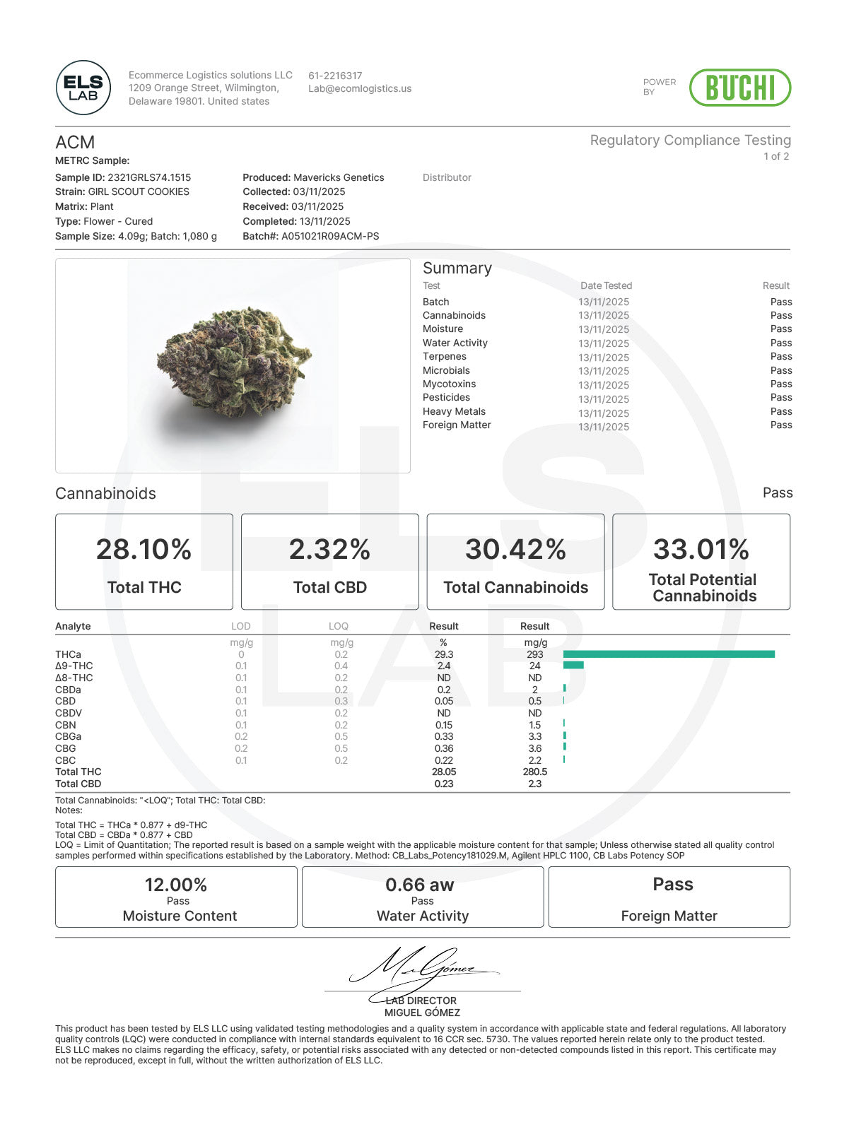 Girl Scout Cookies – Mavericks Genetics