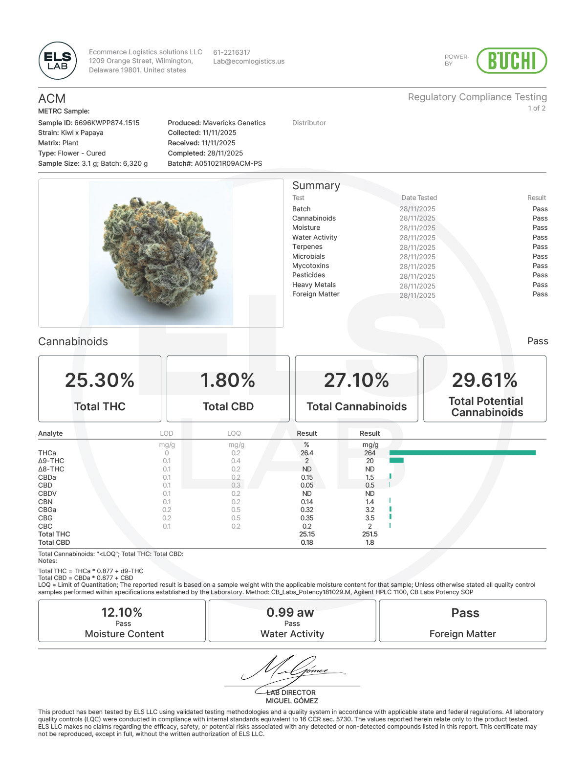 Kiwi x Papaya – Mavericks Genetics