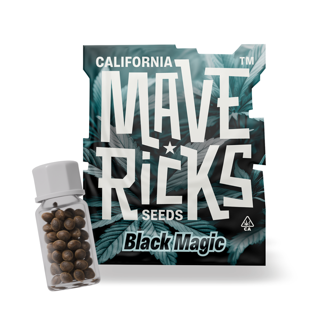 Magie noire