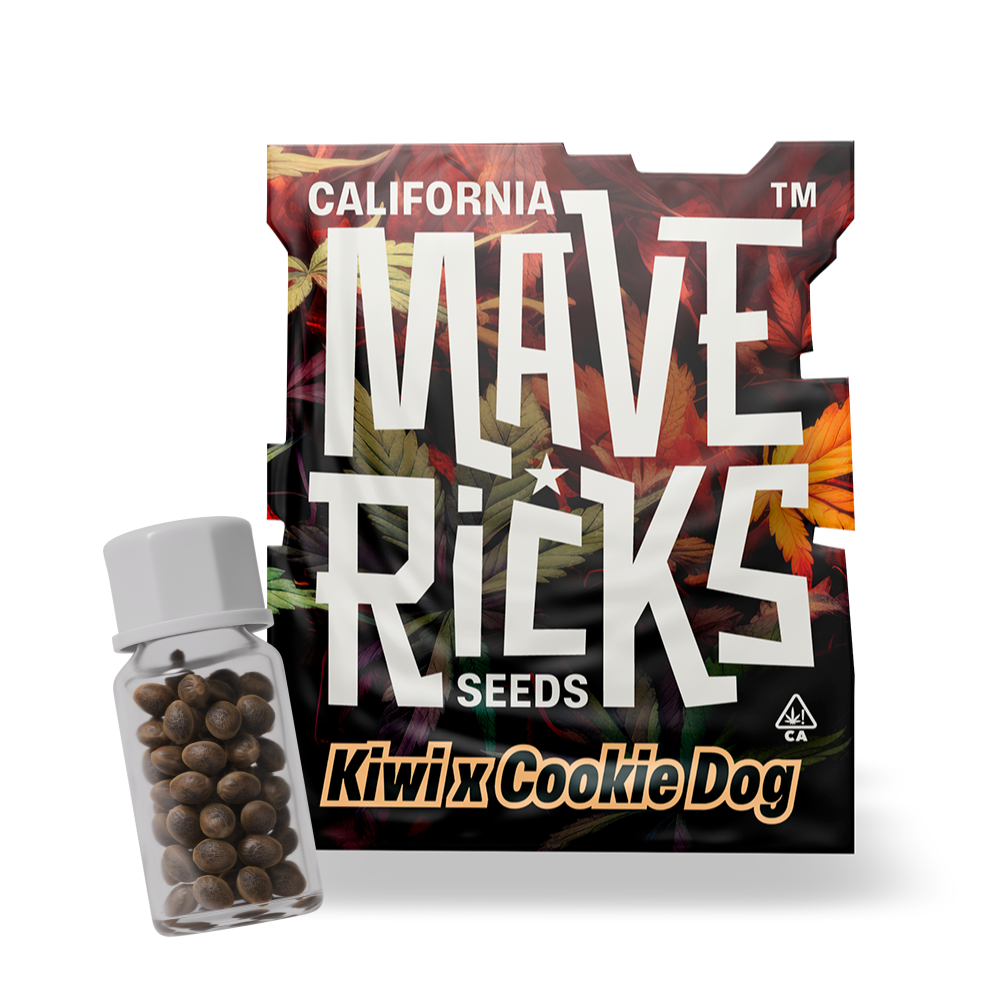 Kiwi X Cookie Dog