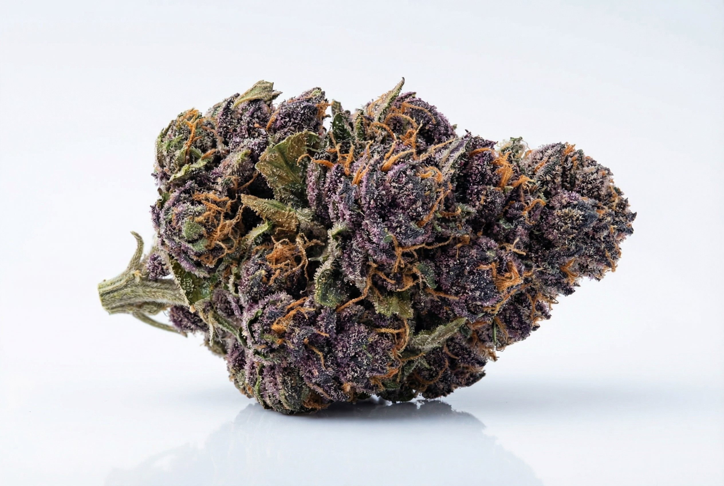 Peanut Butter Breath